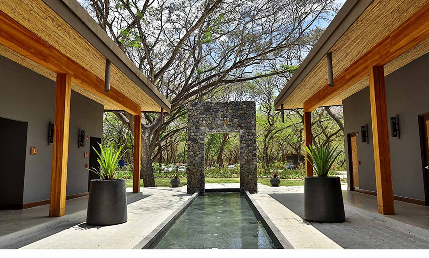 el_mangroove_hospitalidad20150817_0083